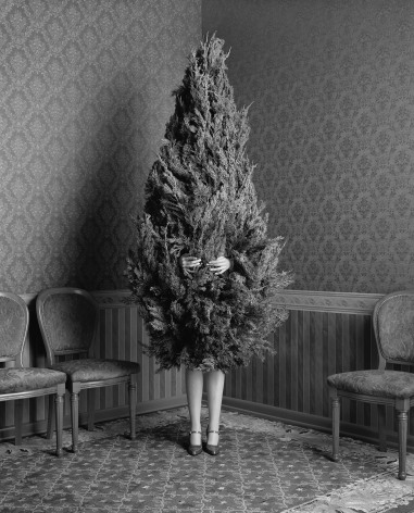 Woman in a Christmas Tree, 1996, Archival Pigment Print