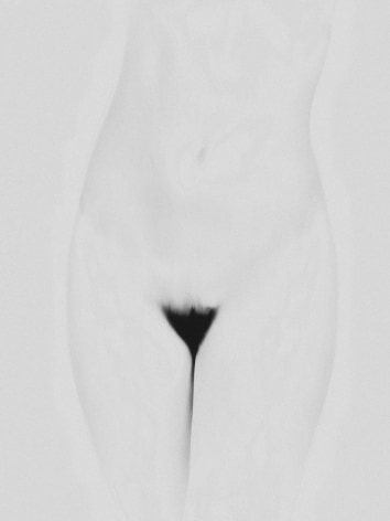 Nude Study II, 2016, Archival Pigment Print, Combined Edition of 10