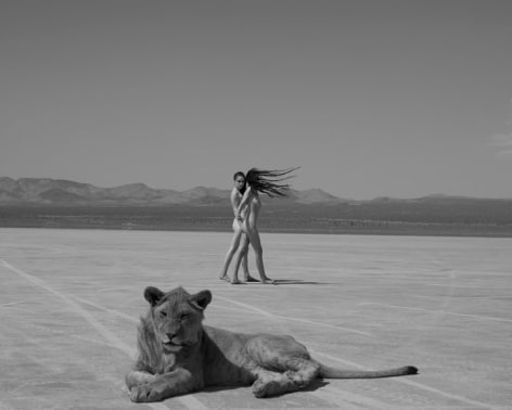 The Walk, 2008, Archival Pigment Print