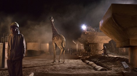 Bridge Construction with Giraffe &amp;amp; Worker, 2018, Archival Pigment Print