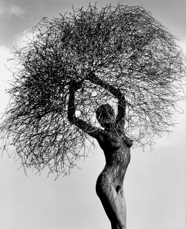 Neith with Tumbleweed, Paradise Cove, 1986, 20 x 16 Inches, Toned Silver Gelatin Photograph, Edition of 3