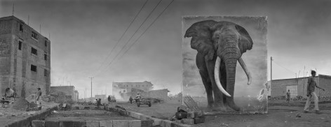 Road with Elephant, 2014