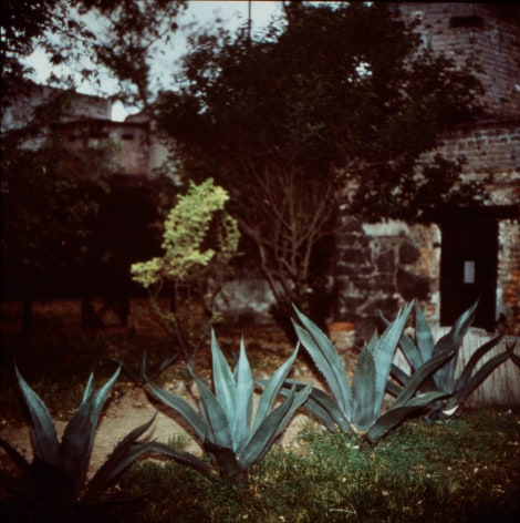 Trotsky House, Cactus and Guard Towers, 1990, Archival Pigment Print