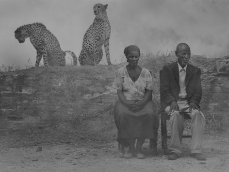 Regina, Jack, Levi and Diesel, Zimbabwe, 2020, Archival Pigment Print