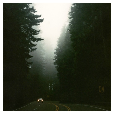 Redwood Highway in Northern California, 2020, Archival Pigment Print