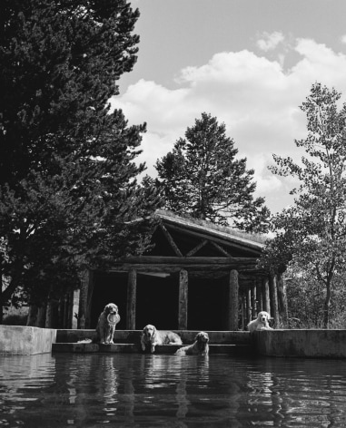 Dogs at the poolhouse, Little Bear Ranch, McLeod, Montana, 1996, Silver Gelatin Photograph, Ed. of 10