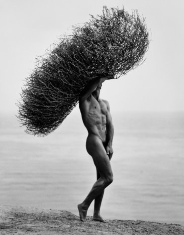 Herb Ritts  Male Nude with Tumbleweed, Paradise Cove, 1986   Platinum Palladium Photograph, Ed. 21/25  22 &frac12; x 18 1/8 inches