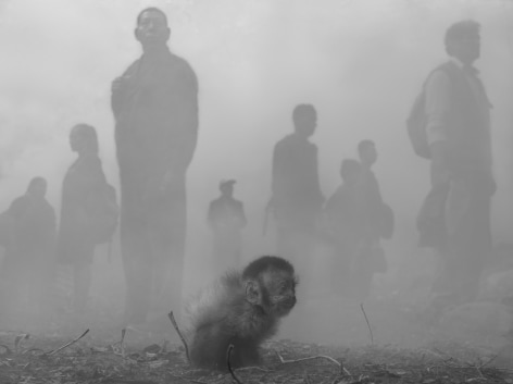 Hob and People in Fog, Bolivia, 2022, Archival Pigment Print