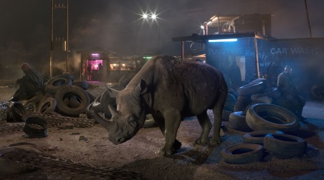 Garage with Blind Rhino, 2018, Archival Pigment Print