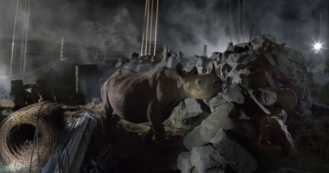 Construction Site with Rhino,&nbsp; 2018, Archival Pigment Print