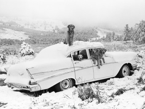 The Gang, Freak Snowstorm, August, Little Bear Ranch, McLeod, Montana, 1992, Silver Gelatin Photograph, Ed. of 10
