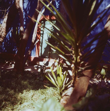 Frida&rsquo;s Blue House, Garden, 1987, Archival Pigment Print