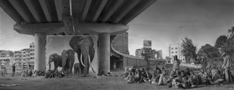 Underpass with Elephants &amp; Glue Sniffing Kids, 2015