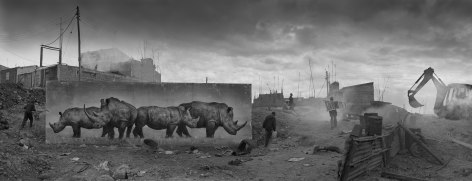 Construction Site with Rhinos, 2014