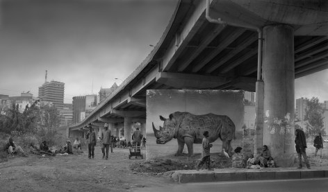 Underpass with Rhino &amp; Egret, 2015