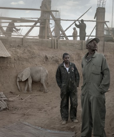 Construction Trench with Workers &amp;amp; Baby Elephant, 2018, Archival Pigment Print