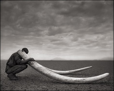 Ranger with Tusks of Killed Elephants, Amboseli, 2011, 22 x 27 1/2 Inches, Archival Pigment Print, Edition of 15