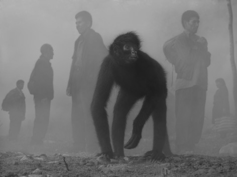Tricia and People in Fog, Bolivia, 2022, Archival Pigment Print