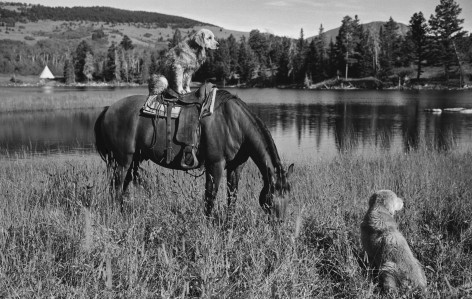 Little Bear Ranch, McLeod, Montana, 1993, Silver Gelatin Photograph, Ed. of 10