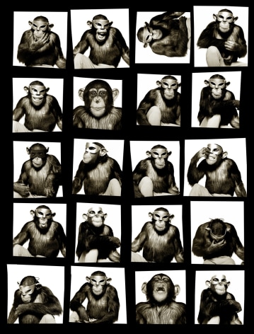 Monkey with Mask (Contact), New York City, 1994, Archival Pigment Print