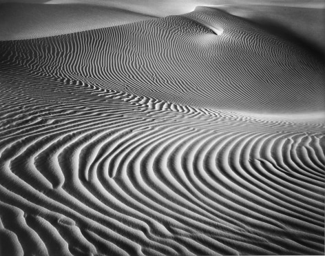 Elegant Dune, 2002, 22 x 28 Inches, Silver Gelatin Photograph