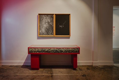Robert LeBlanc:&nbsp;Tin Lizards, on display at Carhartt WIP&nbsp;