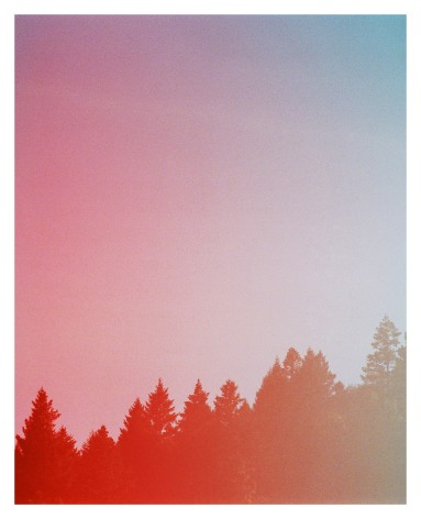 Red Pines and a Pink Sky in Oregon, 2020, Archival Pigment Print