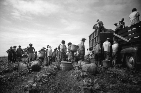 Migrant Workers in Field, Arkansas, 1961, Silver Gelatin Photograph