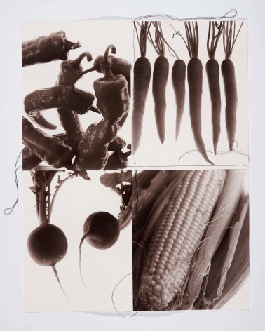 Vegatables One, 1995, Silver Gelatin Photograph Collage with fiber strand