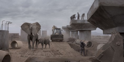 Bridge Construction with Elephants &amp;amp; Excavator, 2018, Archival Pigment Print