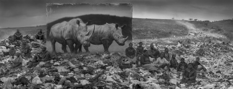 Wasteland with Rhinos &amp; Residents, 2015