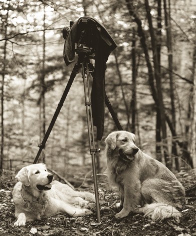 Pete&rsquo;s Rock Campground, Adirondack Park, New York, 1988, Silver Gelatin Photograph, Ed. of 10