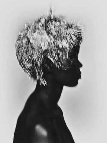 Silverhair, 2017, Archival Pigment Print, Combined Edition of 10
