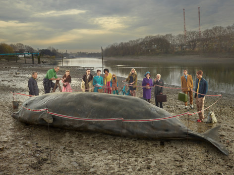 The Thames Whale, 2018, C-Print