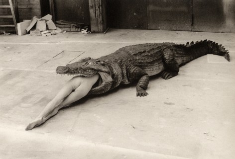Helmut Newton, (The Legend of Virginity), Wuppertal, n.d.