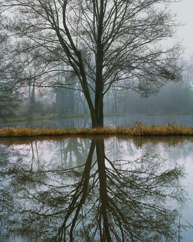 Untitled #7&nbsp;(Lake),&nbsp;2020, Cibachrome Photograph
