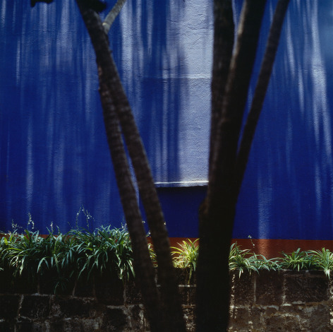 Frida&rsquo;s Blue House, V-Shaped Tree, 1987, Archival Pigment Print