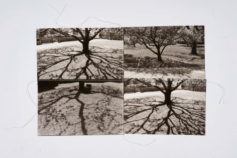 Washington Irving Shadow, 1995, Silver Gelatin Photograph Collage with fiber strand