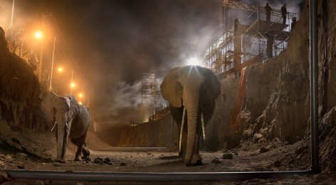River Bed with Elephants, 2018, Archival Pigment Print
