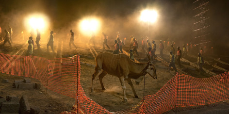 Highway Construction with Eland &amp;amp; Fence, Archival Pigment Print