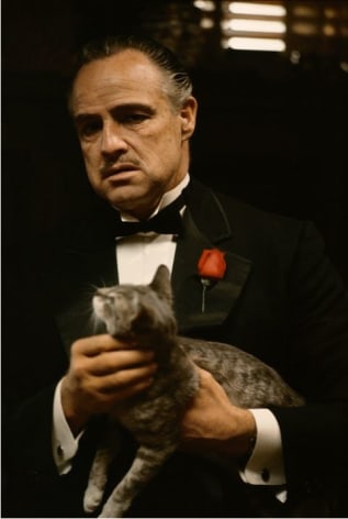 Marlon Brando and the Cat, &quot;The Godfather&quot;, New York, 1971, Archival Pigment Print