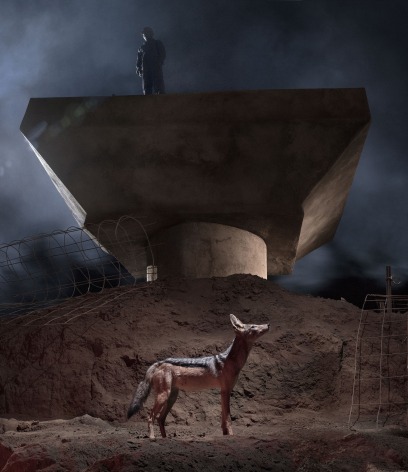 Construction Trench with Jackal, 2018, Archival Pigment Print