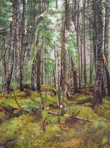 Colin Hunt (b. 1973), Untitled (Moss), 2024, Watercolor on paper, 24 x 18 in.