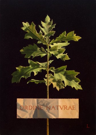 David Ligare (b. 1945), &quot;ORDINE NATURAE (The Order of Nature),&quot;&nbsp;2015. Oil on canvas, 14 x 10 in.