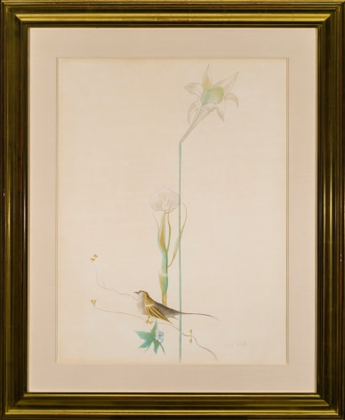 Joseph Stella (1877&ndash;1946). Lily and Bird, about 1919. Silverpoint and colored pencil on paper, 29 x 23 in.