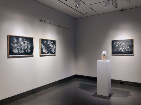 installation view of Lily Cox-Richard's solo exhibition, &quot;Soft Fists Insist,&quot; at Hirschl &amp; Adler Modern, New York