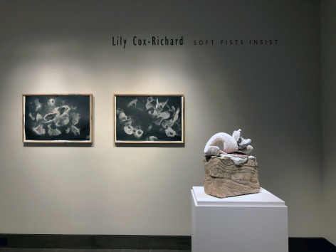 installation view of Lily Cox-Richard's solo exhibition, &quot;Soft Fists Insist,&quot; at Hirschl &amp; Adler Modern, New York