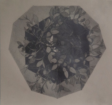 a drawing by Zoe Pettijohn Schade of a complex pattern created by multiple mirrors and reflections