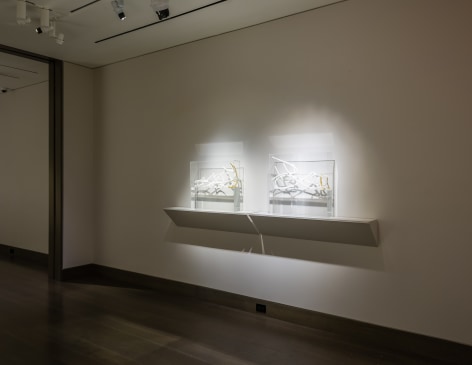 Installation view of Elizabeth Turk: Written in Stone at Hirschl &amp; Adler Modern