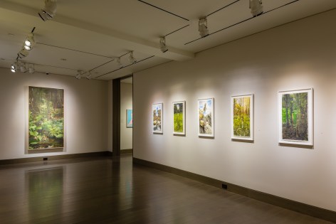installation view of Colin Hunt, &quot;So Much Remains to Be,&quot; at Hirschl &amp; Adler Modern, New York, March 18-April 23, 2021